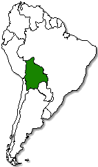 Bolivia is marked in green