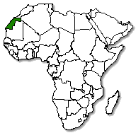 Western Sahara is marked in green
