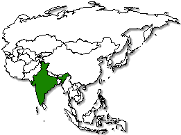 India is marked in green