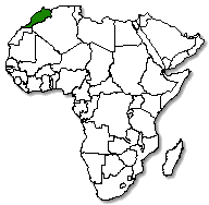 Morocco is marked in green