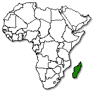 Madagascar is marked in green