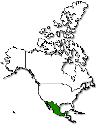 Mexico is marked in green