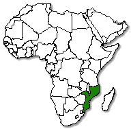 Mozambique is marked in green