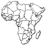 Swaziland is marked in green