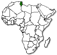 Tunisia is marked in green